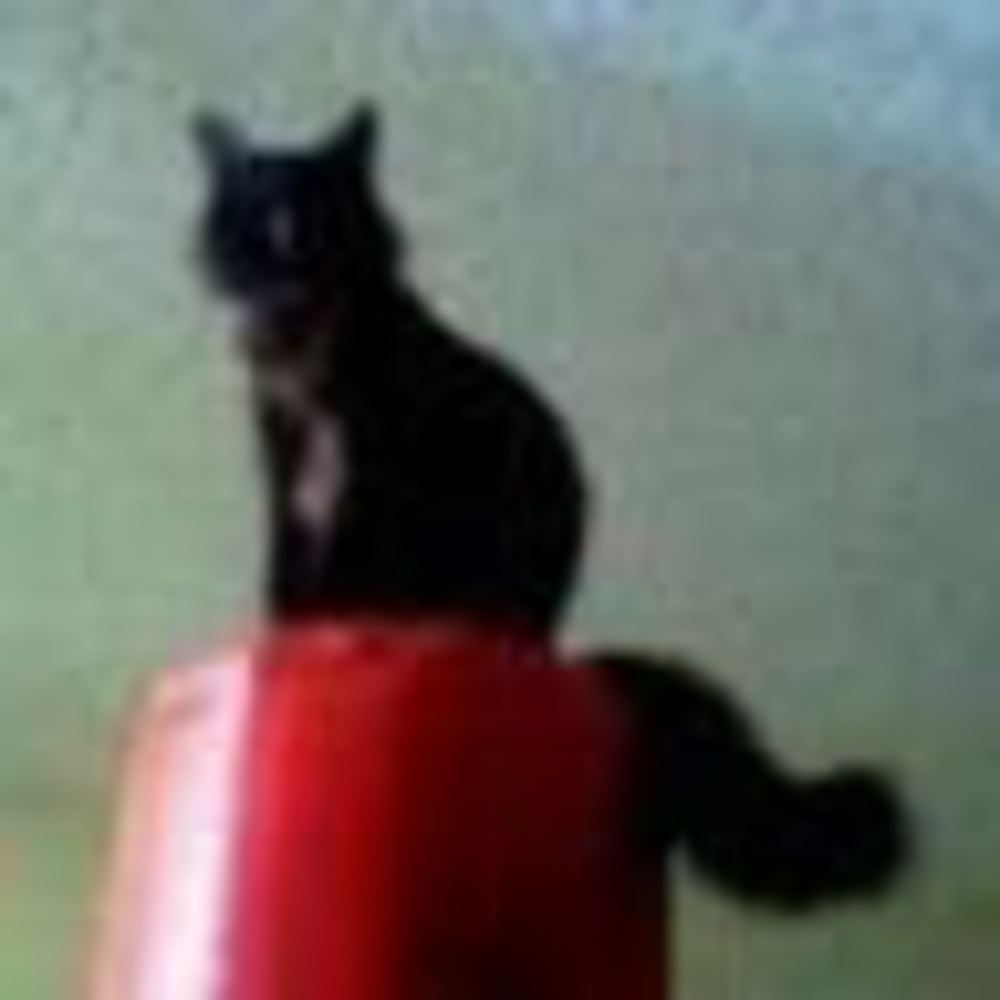Meet your Posher, Mitsuo